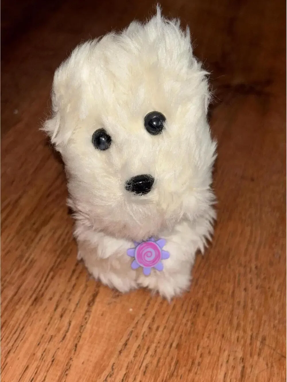 American Girl Coconut Dog And Pajama Top